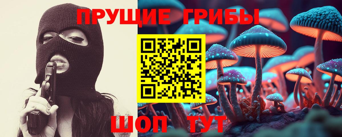 Галлюциногенные грибы прущие грибы Видное